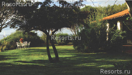 Is Morus Relais 4